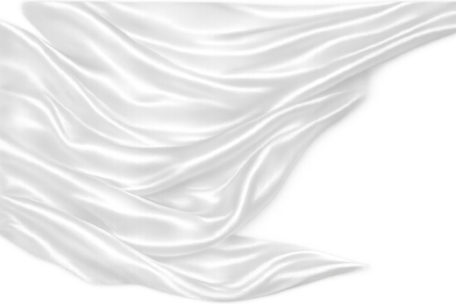 Fondo